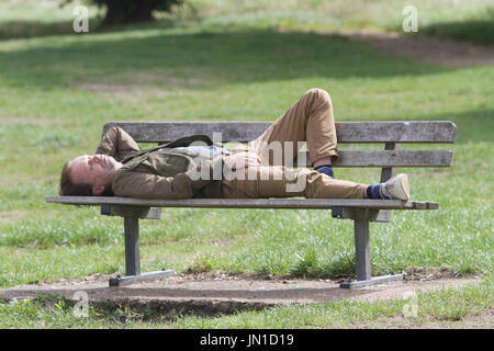 Londra, Regno Unito. 29 Luglio, 2017. Popolazione gode di un clima mite e temperature calde su Wimbledon Common. Piacevole giornata di sole a Londra. Regno Unito Meteo. Credito: amer ghazzal/Alamy Live News Foto Stock