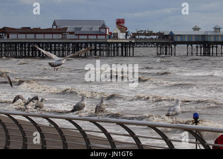 Blackpool Lancashire, Regno Unito. 29 Luglio, 2017. Alta Marea a Blackpool gabbiani sulle guide nella parte anteriore del Central Pier Credit: David Billinge/Alamy Live News Foto Stock