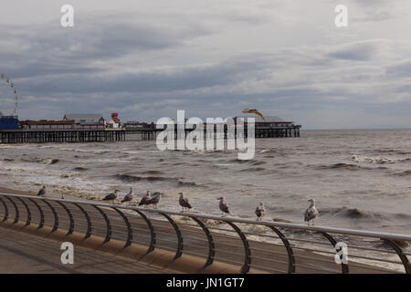 Blackpool Lancashire, Regno Unito. 29 Luglio, 2017. Alta Marea a Blackpool gabbiani sulle guide nella parte anteriore del Central Pier Credit: David Billinge/Alamy Live News Foto Stock