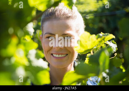 Vignaiolo femmina in piedi in vigna in una giornata di sole Foto Stock