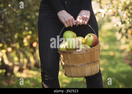 L'agricoltore femmina tenendo la benna piena di mele Foto Stock