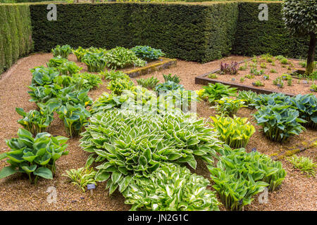 La Hosta Giardino a Barnsdale Gardens dove il compianto Geoff Hamilton girato "giardinieri mondo' per la BBC nr, Oakham Rutland, England, Regno Unito Foto Stock