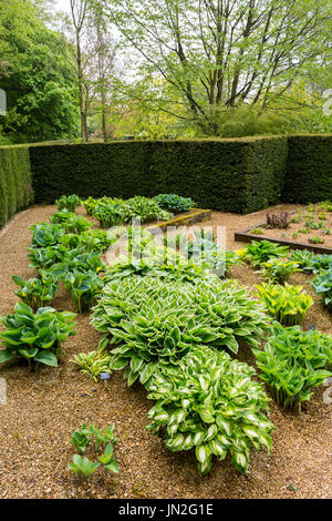 La Hosta Giardino a Barnsdale Gardens dove il compianto Geoff Hamilton girato "giardinieri mondo' per la BBC nr, Oakham Rutland, England, Regno Unito Foto Stock