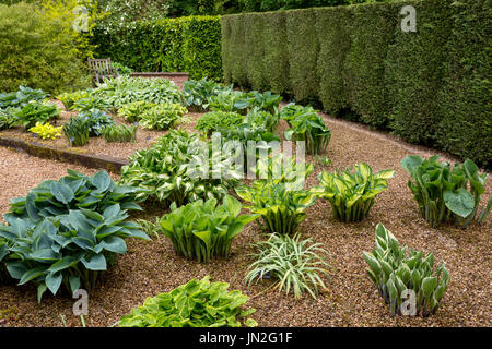 La Hosta Giardino a Barnsdale Gardens dove il compianto Geoff Hamilton girato "giardinieri mondo' per la BBC nr, Oakham Rutland, England, Regno Unito Foto Stock