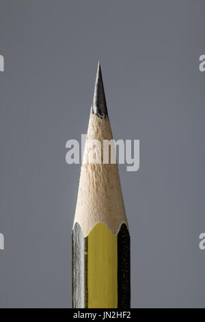 In prossimità di una punta di matita su sfondo grigio Foto Stock