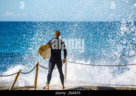 Maschio australiano che trasportano le tavole da surf attende per inserire il surf a Sydney, Australia Foto Stock