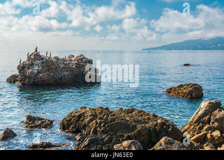 Mar Nero wild water-scape con gruppo di cormorani seduto su una grande roccia Foto Stock