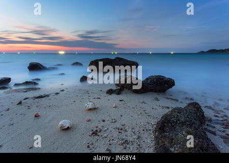 Ancora vita raffinata arte di shell sulla spiaggia Foto Stock