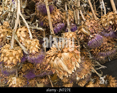 Carciofi capi appesi capovolti per asciugare Foto Stock