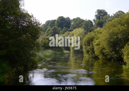 Fiume Itchen Ovington,Hampshire REGNO UNITO Foto Stock