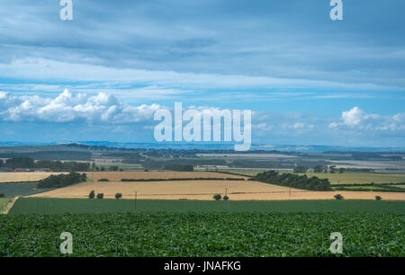 Vista sul paesaggio rurale a Firth of Forth e Fife da East Lothian, con campo di coltivazione e cielo blu con nuvole bianche in estate, Scozia , REGNO UNITO Foto Stock