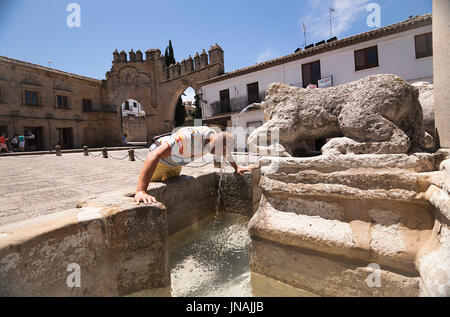 Uomo di mezza età il raffreddamento nella fontana gate di Jaen Baeza, la fontana dei leoni nella Plaza di populo (chiamato anche la piazza dei Leoni), Baeza, Spagna Foto Stock