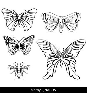 Butterfly set. Gli insetti doodle schizzo collezione. Foto Stock