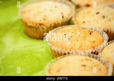 In casa la vaniglia scaglie di cioccolato muffin Foto Stock