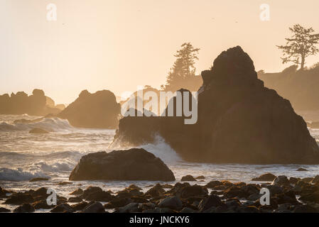 Surf e rocce a Pebble Beach, Crescent City, California. Foto Stock