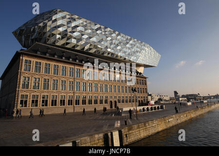 La porta House è la sede dell'Autorità portuale di Anversa. Esso si trova in Anversa, Fiandre, in Belgio. Foto Stock