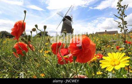 Tempo caldo a Whitburn Mulino a Vento a Sunderland. Foto Stock
