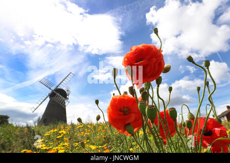 Tempo caldo a Whitburn Mulino a Vento a Sunderland. Foto Stock