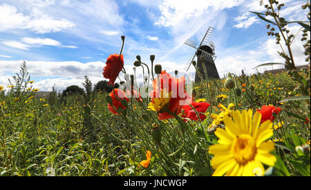 Tempo caldo a Whitburn Mulino a Vento a Sunderland. Foto Stock