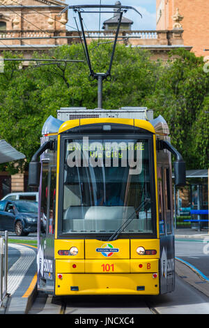 I tram a Victoria Square Adelaide, Australia del Sud. Foto Stock