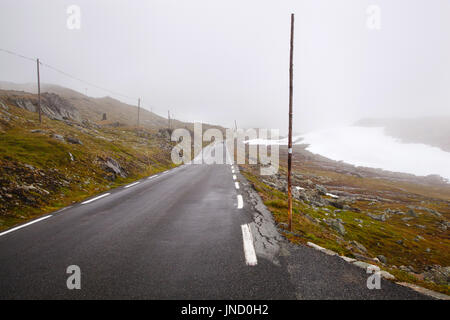 Nazionale strada turistica 55 Sognefjellsvegen in misty meteo, Norvegia Foto Stock