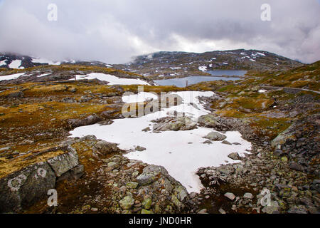 Nazionale strada turistica 55 Sognefjellsvegen in misty meteo, Norvegia Foto Stock