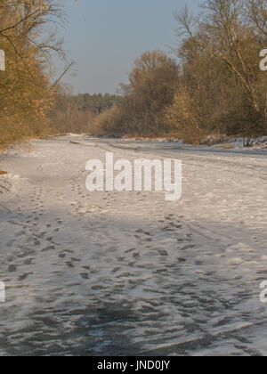 Tracce di sci sul fiume congelato swider in jozefow Foto Stock