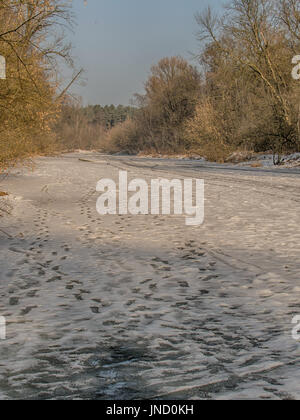 Tracce di sci sul fiume congelato swider in jozefow Foto Stock