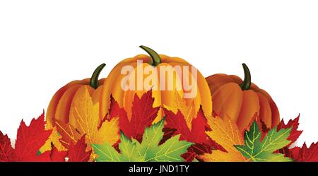 La illustrazione vettoriale di zucche isolato Illustrazione Vettoriale