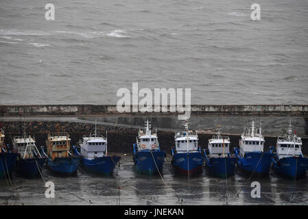 Putian, la Cina della provincia del Fujian. Il 30 luglio, 2017. Barche da pesca berth in la protezione dike in Putian, a sud-est della Cina di provincia del Fujian, 30 luglio 2017. Il tifone Nesat, il nono typhoon dell'anno, fatte approdo nel Fujian la domenica mattina. Nesat, imballaggio venti massimo fino a 33 metri al secondo al suo centro, sbarcati a coastal Fuqing città intorno alle 6 del mattino dopo un viaggio attraverso l'isola Pingtan, secondo le previsioni meteorologiche locali competenti. Credito: Wei Peiquan/Xinhua/Alamy Live News Foto Stock