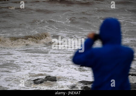 Putian, la Cina della provincia del Fujian. Il 30 luglio, 2017. Un reporter prende le immagini delle onde del mare in Putian, a sud-est della Cina di provincia del Fujian, 30 luglio 2017. Il tifone Nesat, il nono typhoon dell'anno, fatte approdo nel Fujian la domenica mattina. Nesat, imballaggio venti massimo fino a 33 metri al secondo al suo centro, sbarcati a coastal Fuqing città intorno alle 6 del mattino dopo un viaggio attraverso l'isola Pingtan, secondo le previsioni meteorologiche locali competenti. Credito: Wei Peiquan/Xinhua/Alamy Live News Foto Stock