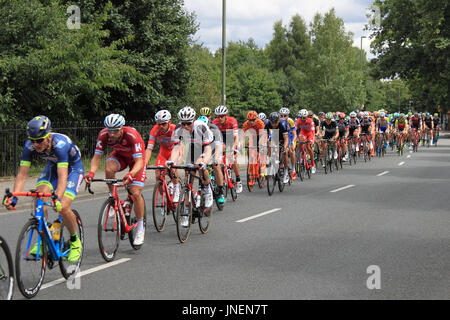 Peleton. RideLondon-Surrey Classic. Hurst Road, East Molesey, Surrey, Regno Unito. Il 30 luglio 2017. UCI World Tour classificati, a un giorno e a 140km di corsa su strada in partenza e a Londra centrale. Il percorso è basato sul corso utilizzato per le Olimpiadi del 2012 e tiene i piloti fuori Londra nel Surrey Hills. Credito: Ian bottiglia/Alamy Live News Foto Stock