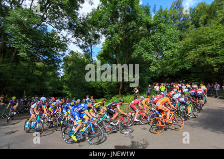 Dorking, Surrey, Regno Unito. Il 30 luglio, 2017. RideLondon-Surrey Classic. Il mondo della top ciclisti professionisti ha preso su Britains più grande un giorno di gara ciclistica - La corsaLondon-Surrey Classic. Partenza e a Londra la zona di straordinaria bellezza naturale - le colline del Surrey. Alexander Kristoff (Katusha, né) ha vinto in volata sul Mall. Credito: Clive Jones/Alamy Live News Foto Stock