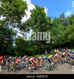 Dorking, Surrey, Regno Unito. Il 30 luglio, 2017. RideLondon-Surrey Classic. Il mondo della top ciclisti professionisti ha preso su Britains più grande un giorno di gara ciclistica - La corsaLondon-Surrey Classic. Partenza e a Londra la zona di straordinaria bellezza naturale - le colline del Surrey. Alexander Kristoff (Katusha, né) ha vinto in volata sul Mall. Credito: Clive Jones/Alamy Live News Foto Stock