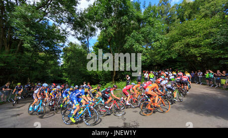 Dorking, Surrey, Regno Unito. Il 30 luglio, 2017. RideLondon-Surrey Classic. Il mondo della top ciclisti professionisti ha preso su Britains più grande un giorno di gara ciclistica - La corsaLondon-Surrey Classic. Partenza e a Londra la zona di straordinaria bellezza naturale - le colline del Surrey. Alexander Kristoff (Katusha, né) ha vinto in volata sul Mall. Credito: Clive Jones/Alamy Live News Foto Stock