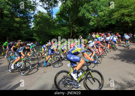 Dorking, Surrey, Regno Unito. Il 30 luglio, 2017. RideLondon-Surrey Classic. Il mondo della top ciclisti professionisti ha preso su Britains più grande un giorno di gara ciclistica - La corsaLondon-Surrey Classic. Partenza e a Londra la zona di straordinaria bellezza naturale - le colline del Surrey. Alexander Kristoff (Katusha, né) ha vinto in volata sul Mall. Credito: Clive Jones/Alamy Live News Foto Stock