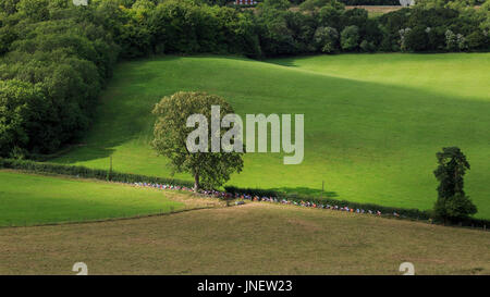 Dorking, Surrey, Regno Unito. Il 30 luglio, 2017. RideLondon-Surrey Classic. Il mondo della top ciclisti professionisti ha preso su Britains più grande un giorno di gara ciclistica - La corsaLondon-Surrey Classic. Partenza e a Londra la zona di straordinaria bellezza naturale - le colline del Surrey. Alexander Kristoff (Katusha, né) ha vinto in volata sul Mall. Credito: Clive Jones/Alamy Live News Foto Stock
