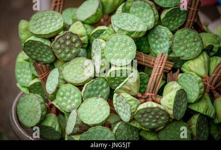 I semi di loto nel vassoio al mercato Foto Stock