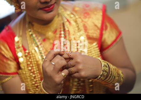Dettaglio della sposa Indiana / femmina indossando decorativi tradizionali ornamenti d'oro, il Kerala sari / saree India del Sud. Indiano gioielli nuziale. Foto Stock