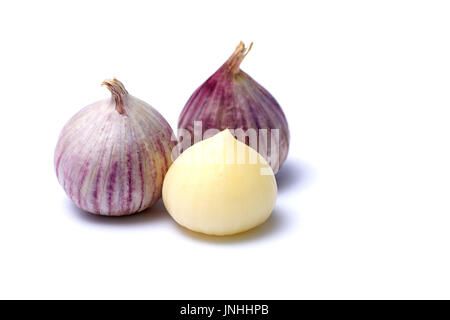 Aglio o Allium ampeloprasum var. ampeloprasum isolati su sfondo bianco Foto Stock