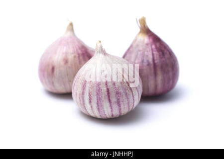 Aglio o Allium ampeloprasum var. ampeloprasum isolati su sfondo bianco Foto Stock