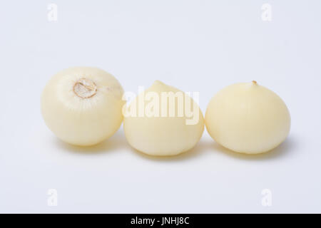 Aglio o Allium ampeloprasum var. ampeloprasum isolati su sfondo bianco Foto Stock