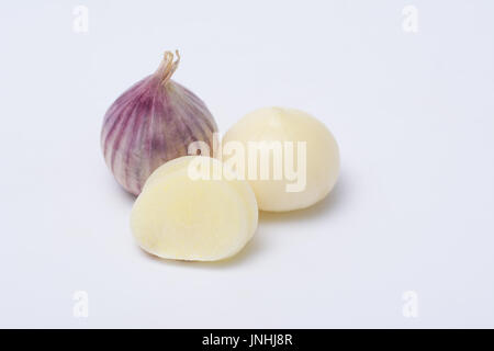 Aglio o Allium ampeloprasum var. ampeloprasum isolati su sfondo bianco Foto Stock