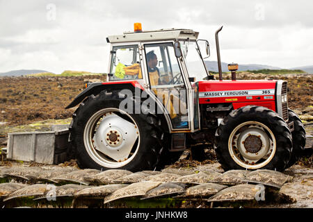 Oyster farm Kilcolgan, nella contea di Galway, luglio 2016. Il trattore che trasportano le ostriche in sacchetti di metallo. Kellys ostriche è azienda di famiglia la vendita di ostriche e cozze. Foto Stock