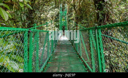 Green ponte sospeso nella Foresta Pluviale di Monteverde Foto Stock