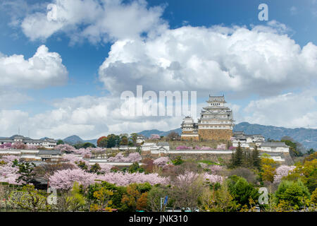 Fiori di Ciliegio fiori di stagione con il castello di Himeji nella città di Himeji, Hyogo vicino a Osaka, Giappone Foto Stock