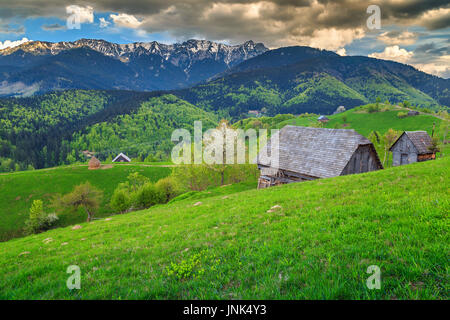 Fantastica campagna in primavera, crusca, Transilvania, Romania, Europa Foto Stock