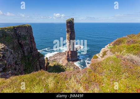 Il vecchio uomo di Hoy, una pila di roccia popolare con gli alpinisti, Hoy, Orkney REGNO UNITO Foto Stock