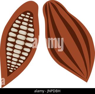 Illustrazione Vettoriale delle fave di cacao. Icona di cacao. Un sano cibo biologico. Illustrazione Vettoriale