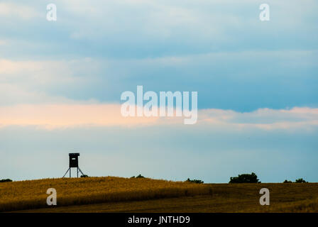 La silhouette di hunter sedile alto sull'orizzonte quando diventa buio. Uno splendido ambiente rurale. Foto Stock